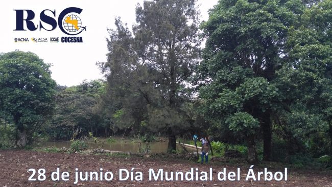 IMG 28 JUNE WORLD TREE DAY