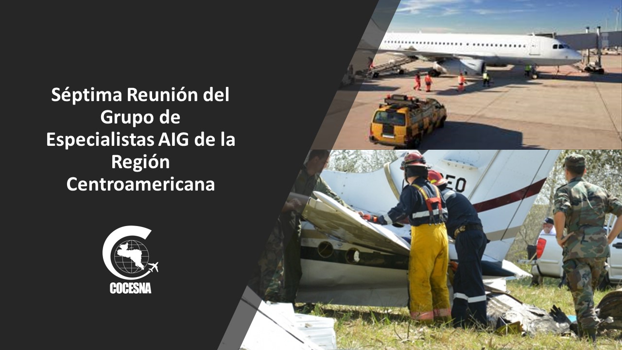 Séptima Reunión de Especialistas AIG