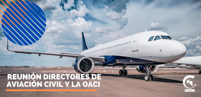Civil Aviation Directors Meeting
