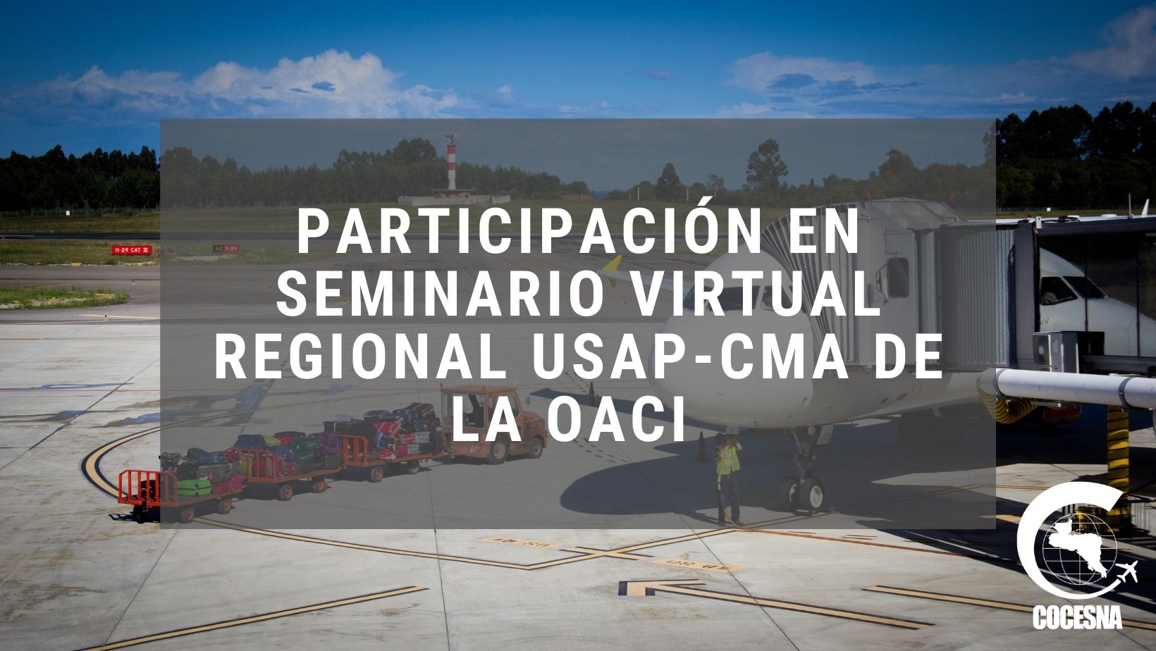 PARTICIPACION SEMINARIO VIRTUAL OACI