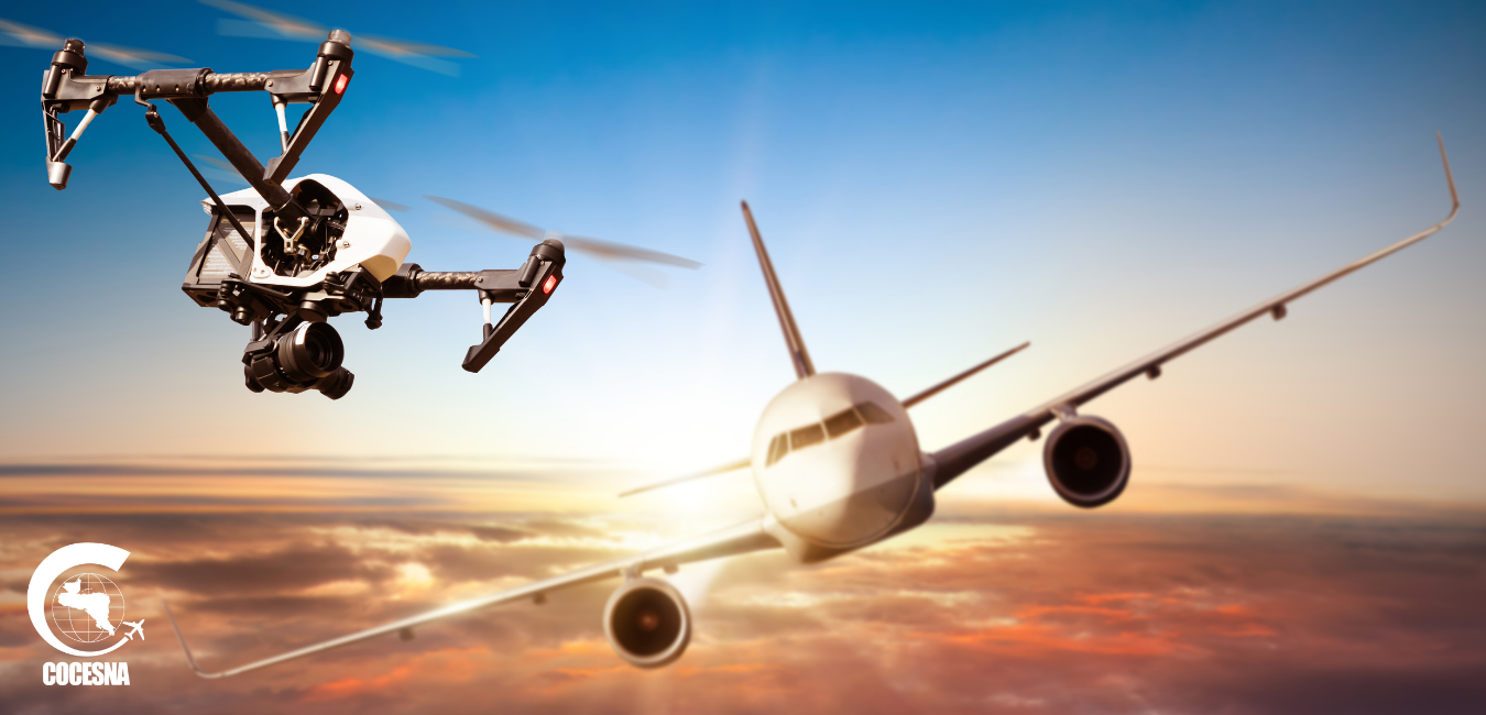 Azul Verde Mujer Foto Viaje Portfolio Página Web