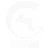 COCESNA | Central American Air Navigation Services Corporation