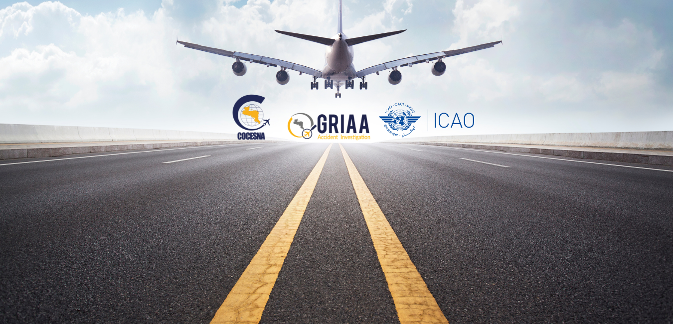 Business Web Site Minimalist White Gray